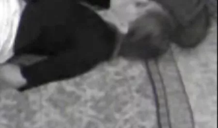 معشوقه کانال تلگرام سکسی پورن
