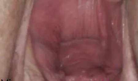 گیشا سرگرم کننده سکس پورن استار یک مسافر